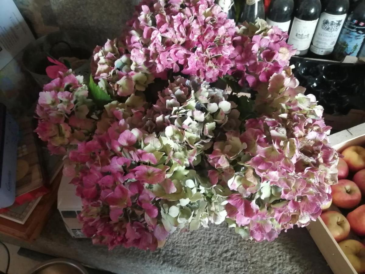 Gite Hydrangea Lanhelin Ngoại thất bức ảnh